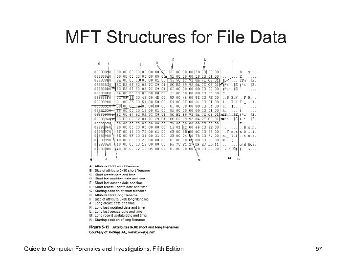 MFT Structures for File Data Guide to Computer Forensics and Investigations, Fifth Edition 57