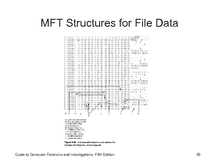 MFT Structures for File Data Guide to Computer Forensics and Investigations, Fifth Edition 60