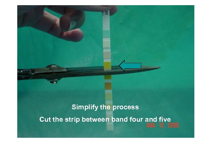 Simplify the Process Cut the Strip Below Band Three Simplify the process Cut the