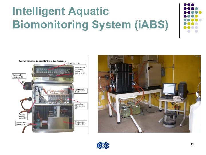Intelligent Aquatic Biomonitoring System (i. ABS) 13 