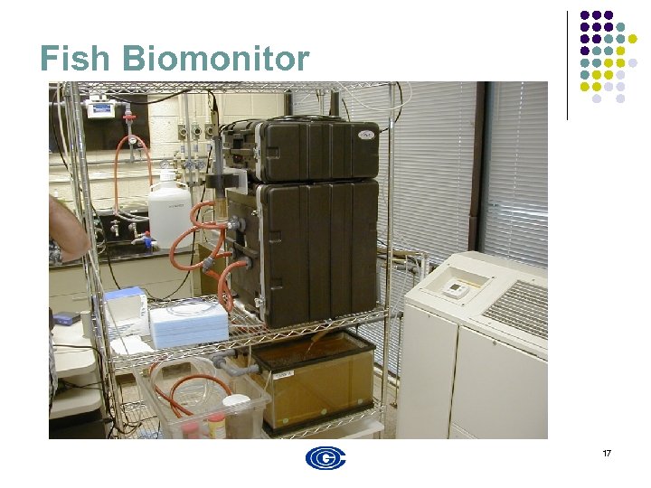 Fish Biomonitor 17 
