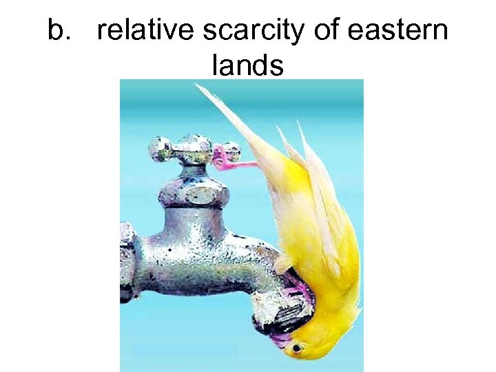 b. relative scarcity of eastern lands 