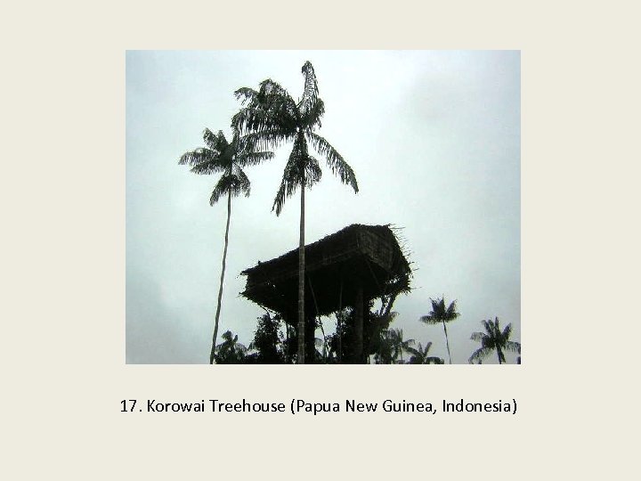 17. Korowai Treehouse (Papua New Guinea, Indonesia) 