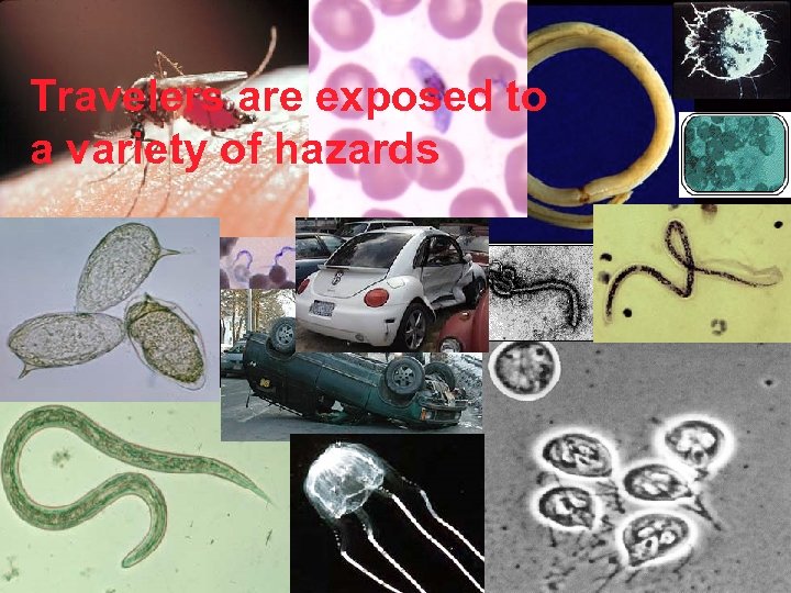 Travelers are exposed to a variety of hazards 