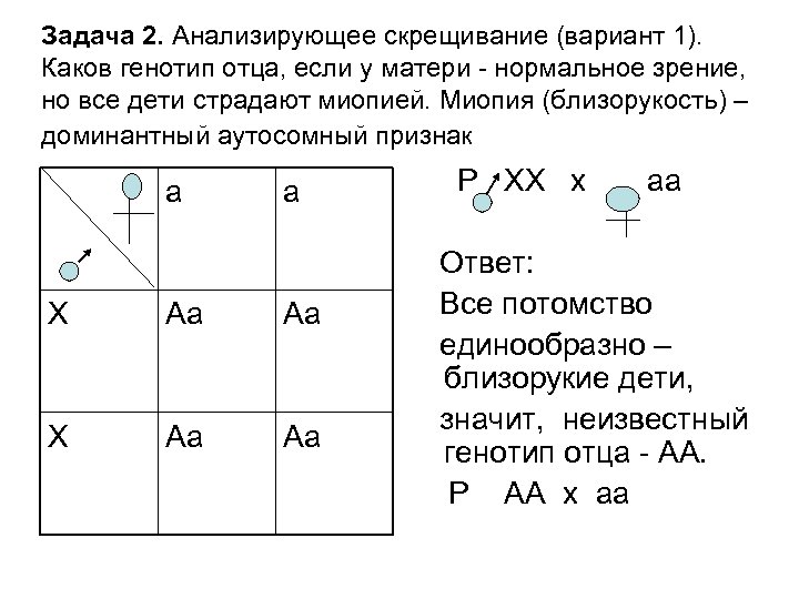 Решение задач на скрещивание. Анализирующее скрещивание задачи. Решение генетических задач на анализирующее скрещивание. Задачи по генетике анализирующее скрещивание. Задачи на анализирующее скрещивание 9 класс.