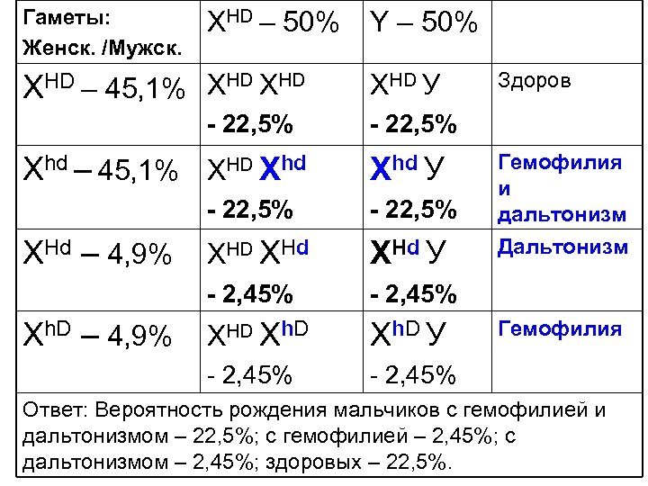 Гаметы: Женск. /Мужск. ХHD – XHD – 50% XHD 45, 1% - 22, 5%