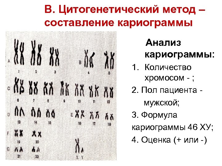 Цитогенетический метод