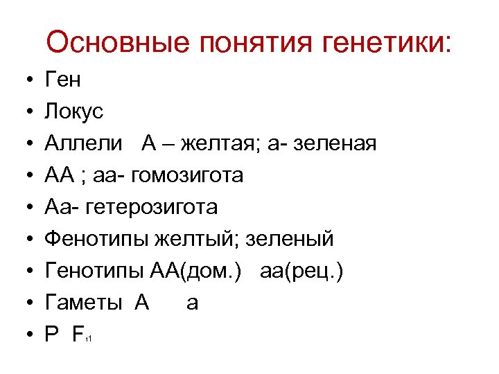 Основные понятия генетики: • • • Ген Локус Аллели А – желтая; а- зеленая