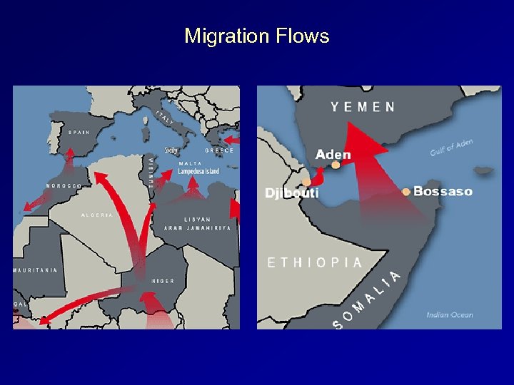 Migration Flows 