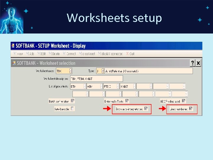 Worksheets setup 