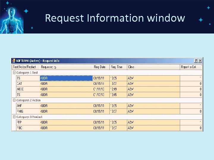 Request Information window 