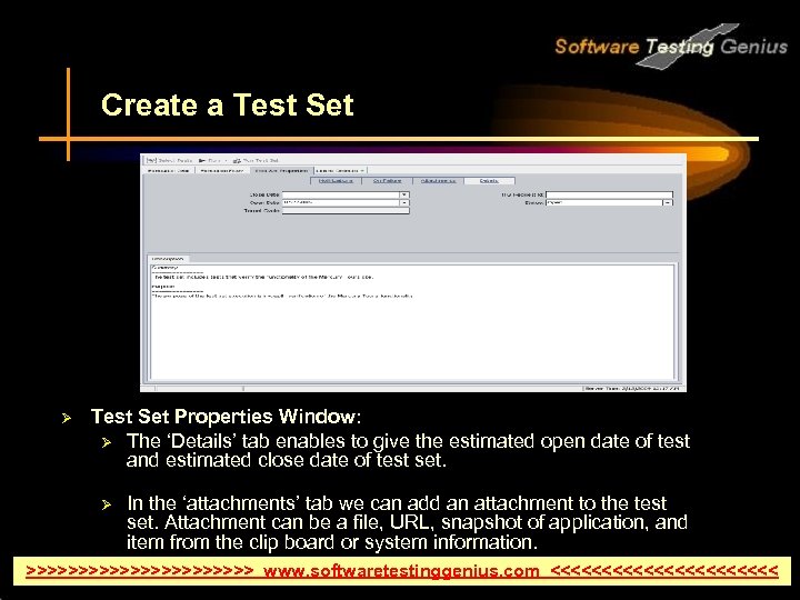 Create a Test Set Ø Test Set Properties Window: Ø The ‘Details’ tab enables