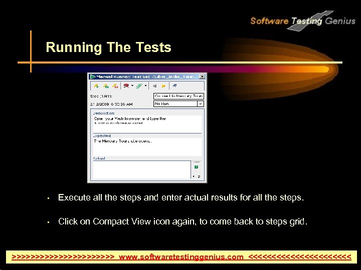 Running The Tests • Execute all the steps and enter actual results for all