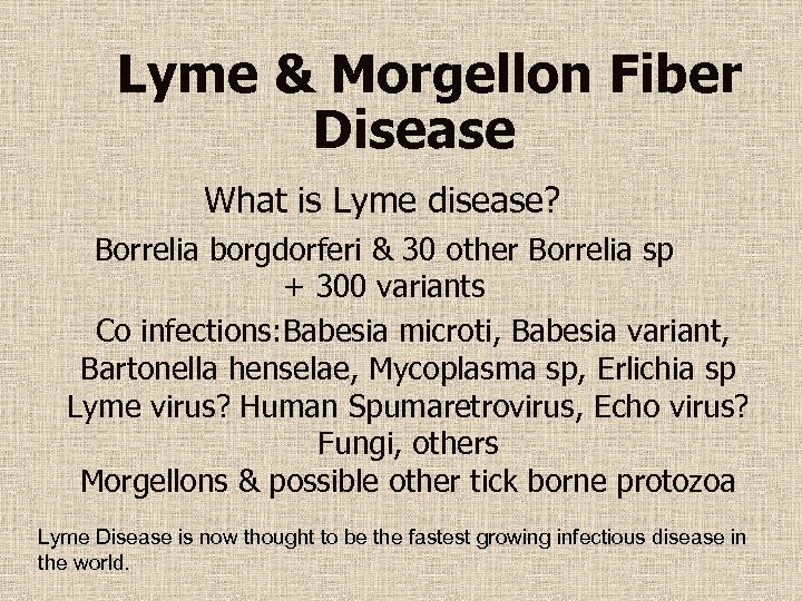 Lyme & Morgellon Fiber Disease What is Lyme disease? Borrelia borgdorferi & 30 other