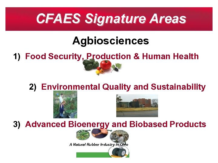 CFAES Signature Areas Agbiosciences 1) Food Security, Production & Human Health 2) Environmental Quality