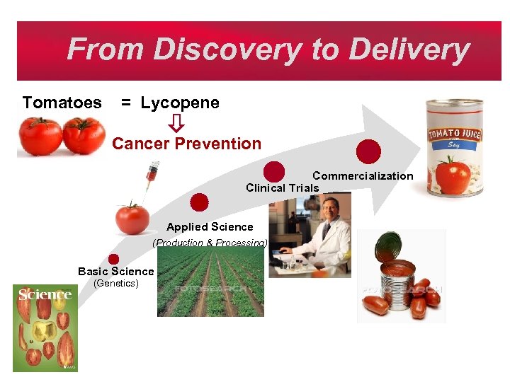 From Discovery to Delivery Tomatoes = Lycopene Cancer Prevention Commercialization Clinical Trials Applied Science