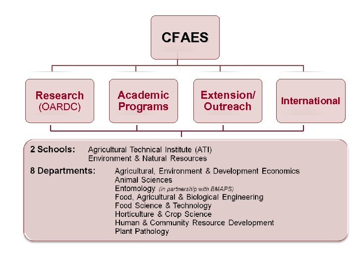 CFAES Research (OARDC) Academic Programs Extension/ Outreach International 