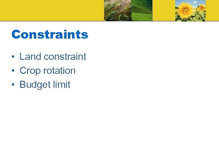 Constraints • Land constraint • Crop rotation • Budget limit 