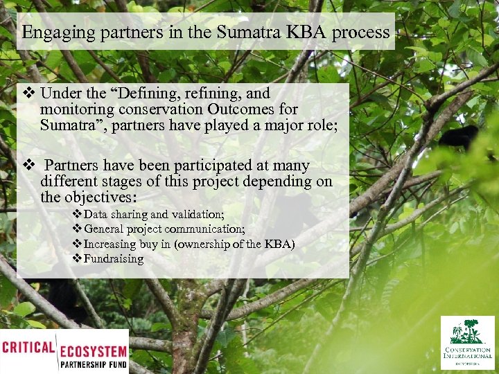 Engaging partners in the Sumatra KBA process v Under the “Defining, refining, and monitoring