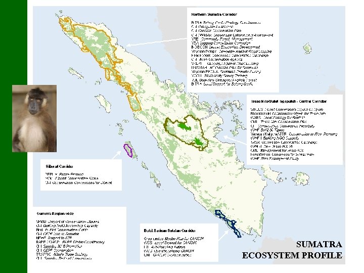 SUMATRA ECOSYSTEM PROFILE 