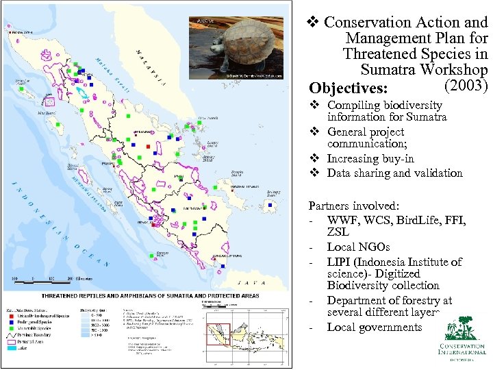 v Conservation Action and Management Plan for Threatened Species in Sumatra Workshop (2003) Objectives: