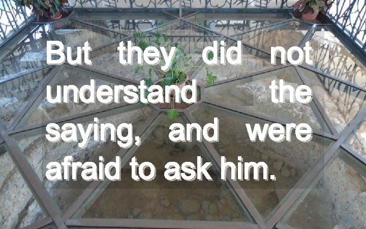 But they did not understand the saying, and were afraid to ask him. 