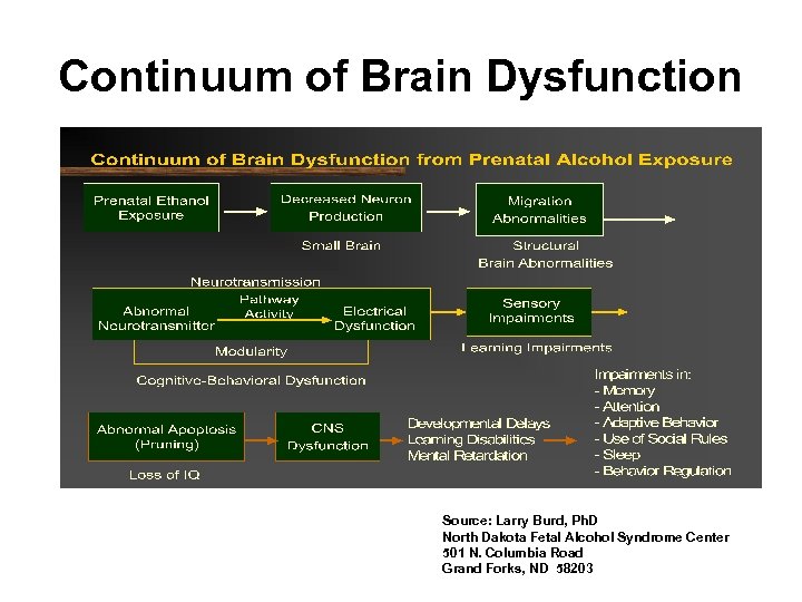 Continuum of Brain Dysfunction Source: Larry Burd, Ph. D North Dakota Fetal Alcohol Syndrome