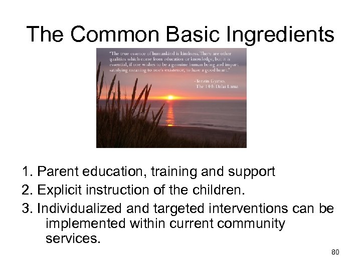 The Common Basic Ingredients 1. Parent education, training and support 2. Explicit instruction of