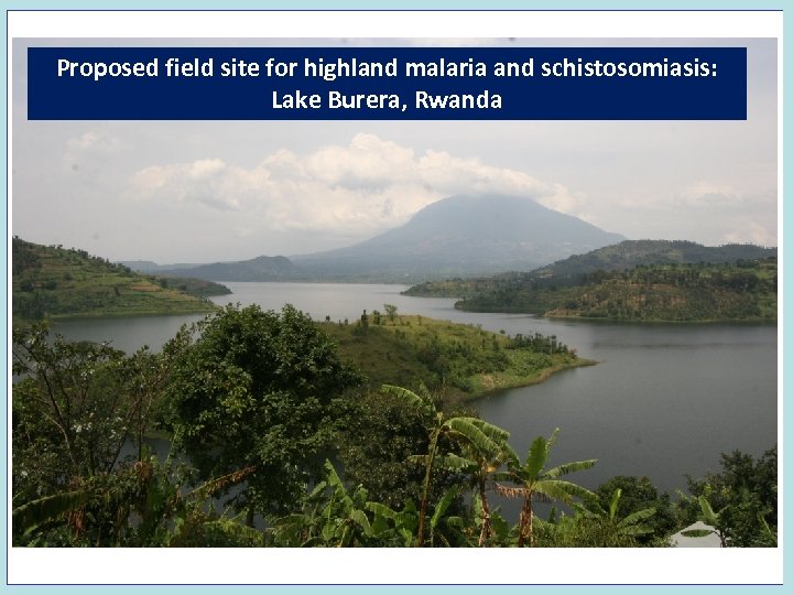 Proposed field site for highland malaria and schistosomiasis: Lake Burera, Rwanda 