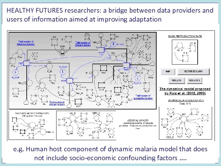 HEALTHY FUTURES researchers: a bridge between data providers and users of information aimed at