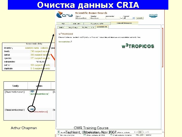 Очистка данных CRIA Arthur Chapman CWR Training Course Tashkent, Uzbekistan, Nov 2007 