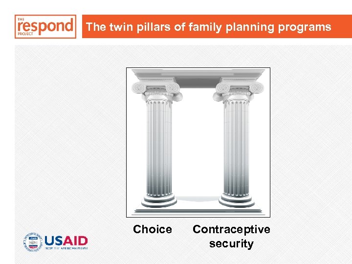 The twin pillars of family planning programs Choice Contraceptive security 