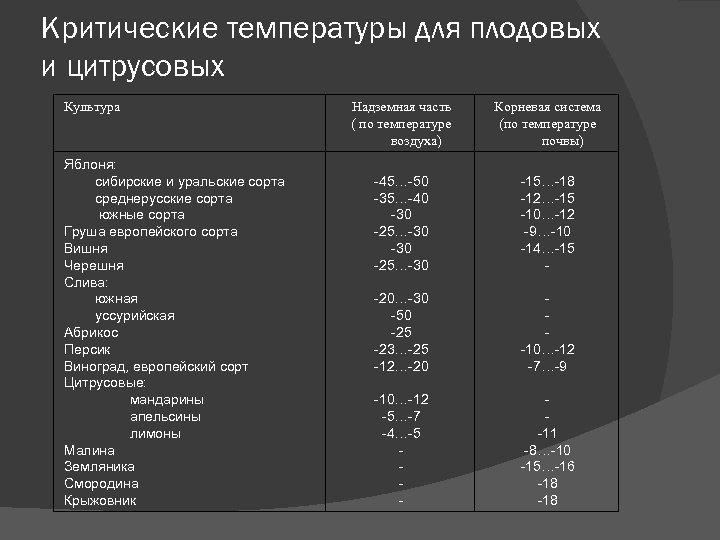 Критические температуры для плодовых и цитрусовых Культура Яблоня: сибирские и уральские сорта среднерусские сорта