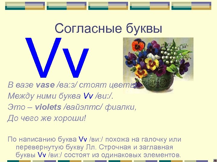 Согласные буквы В вазе vase /ва: з/ стоят цветы, Между ними буква Vv /ви: