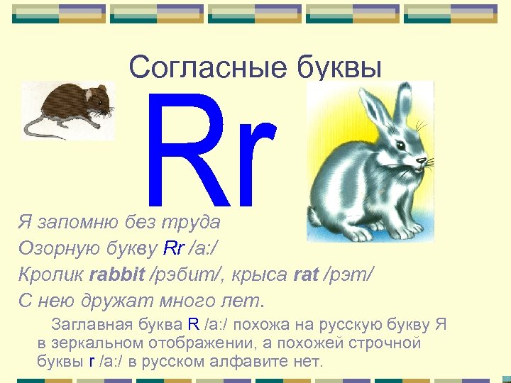 Согласные буквы Я запомню без труда Озорную букву Rr /а: / Кролик rabbit /рэбит/,