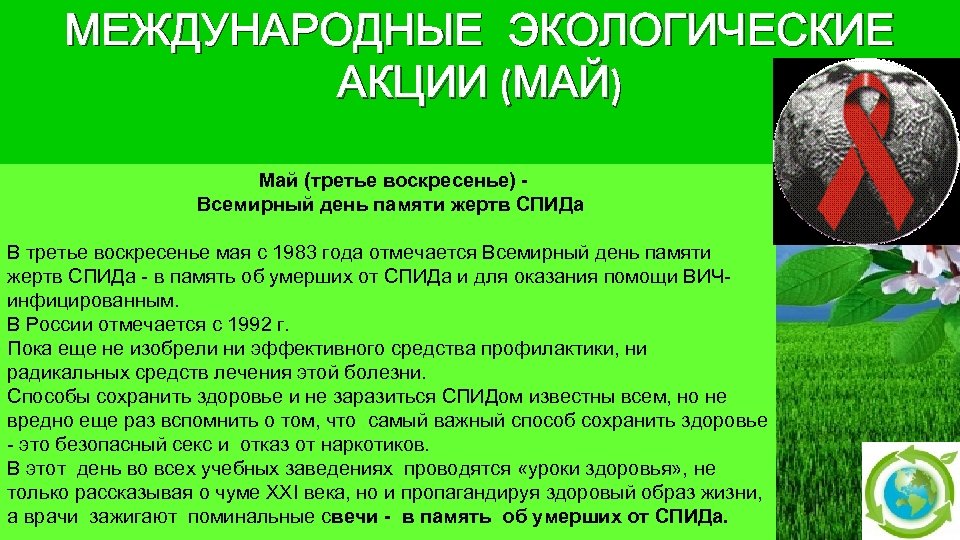 Международное экология. Международные экологические дни. Международный экологические дни окружающий. Тема сообщения международные экологические дни. Международные дни. Экологии дни международные.