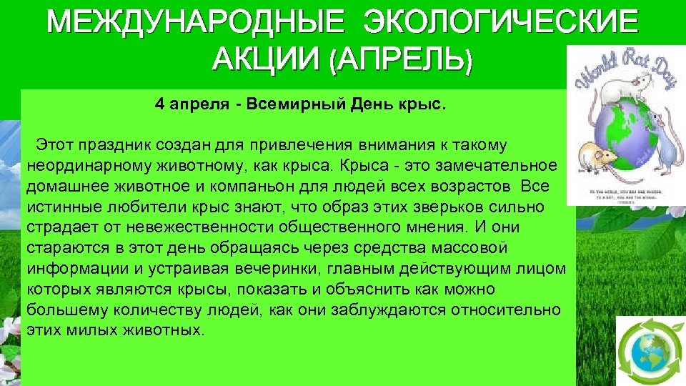 4 апреля какой. Всемирный день крысы 4 апреля. 4 Апреля праздник день крысы. Международные экологические акции. Сегодня Всемирный день крысы.