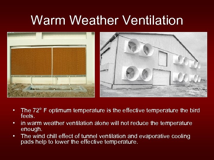 Warm Weather Ventilation • The 72° F optimum temperature is the effective temperature the