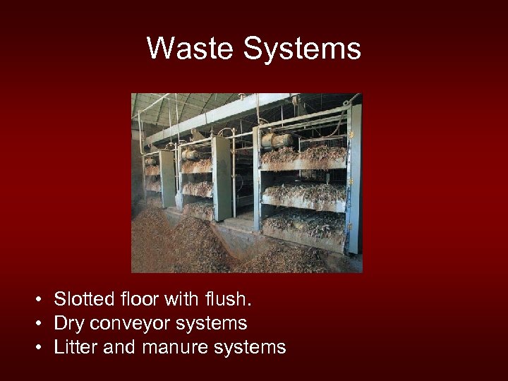 Waste Systems • Slotted floor with flush. • Dry conveyor systems • Litter and