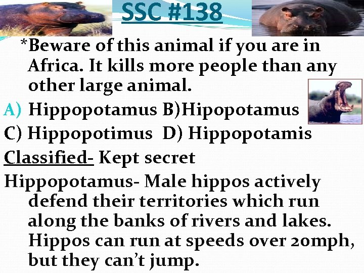 SSC #138 *Beware of this animal if you are in Africa. It kills more