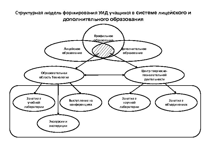 Структурная модель формирования УИД учащихся в системе лицейского и дополнительного образования Профильное образование Лицейское