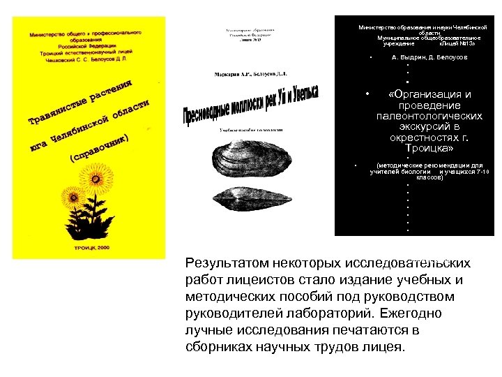  Министерство образования и науки Челябинской области Муниципальное общеобразовательное учреждение «Лицей № 13» •