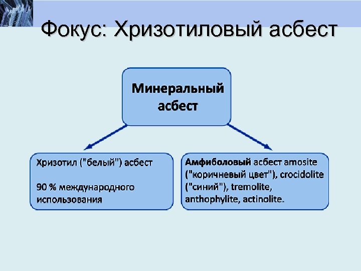 Фокус: Хризотиловый асбест 