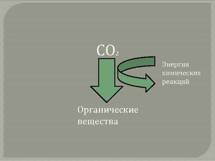 Хемосинтез и фотосинтез сравнение