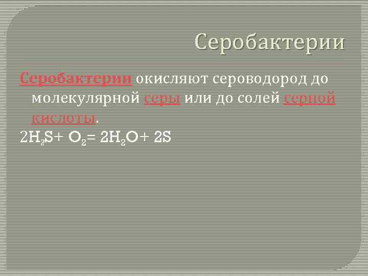 Серобактерии окисляют сероводород до молекулярной серы или до солей серной кислоты. 2 H 2