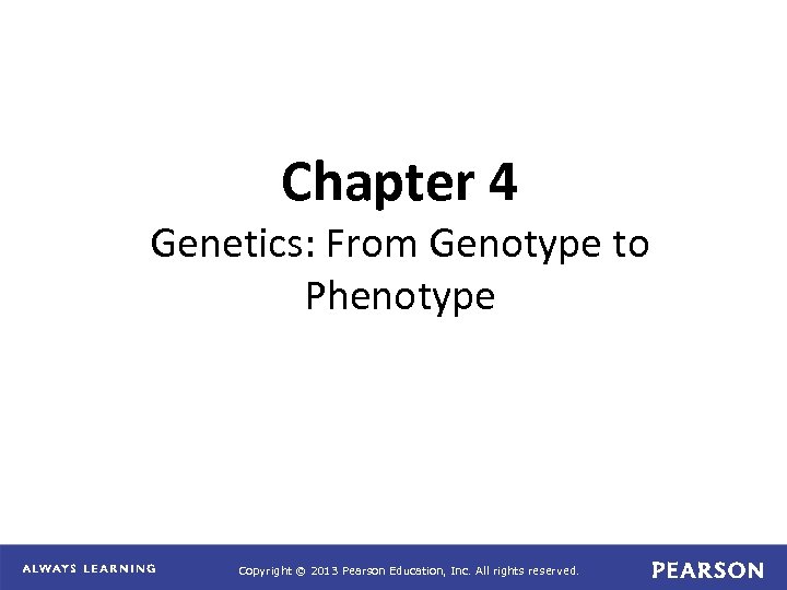 Chapter 4 Genetics: From Genotype to Phenotype Copyright © 2013 Pearson Education, Inc. All