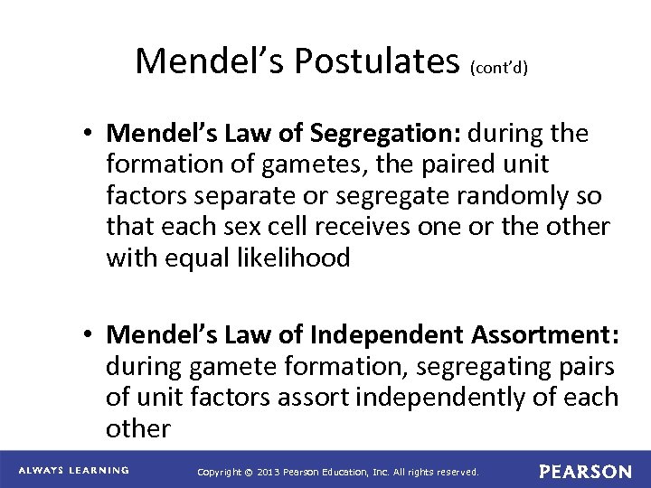 Mendel’s Postulates (cont’d) • Mendel’s Law of Segregation: during the formation of gametes, the