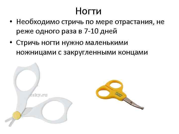 Ногти • Необходимо стричь по мере отрастания, не реже одного раза в 7 -10