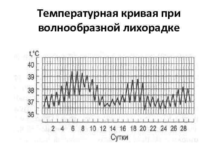 Температурная кривая при волнообразной лихорадке 