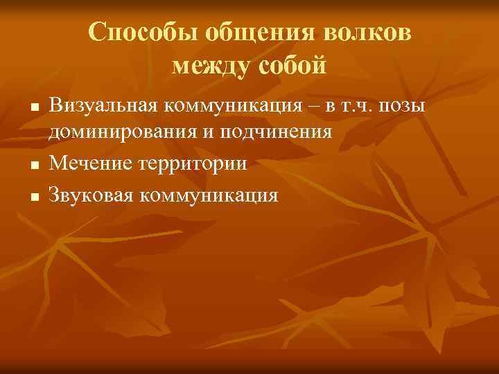 Способы общения волков между собой n n n Визуальная коммуникация – в т. ч.